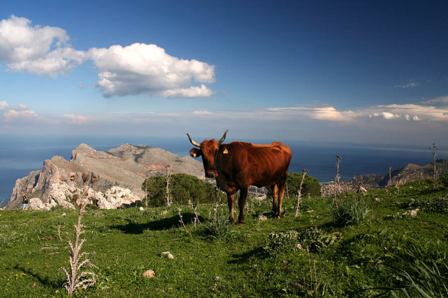 Gironzolando per le sicule terre. Pizzo Manolfo (PA).